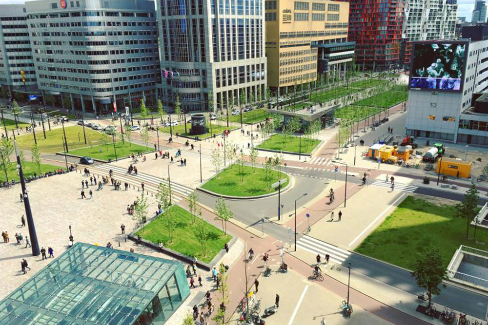 Groenagenda zorgt voor meer stadsgroen in Rotterdam