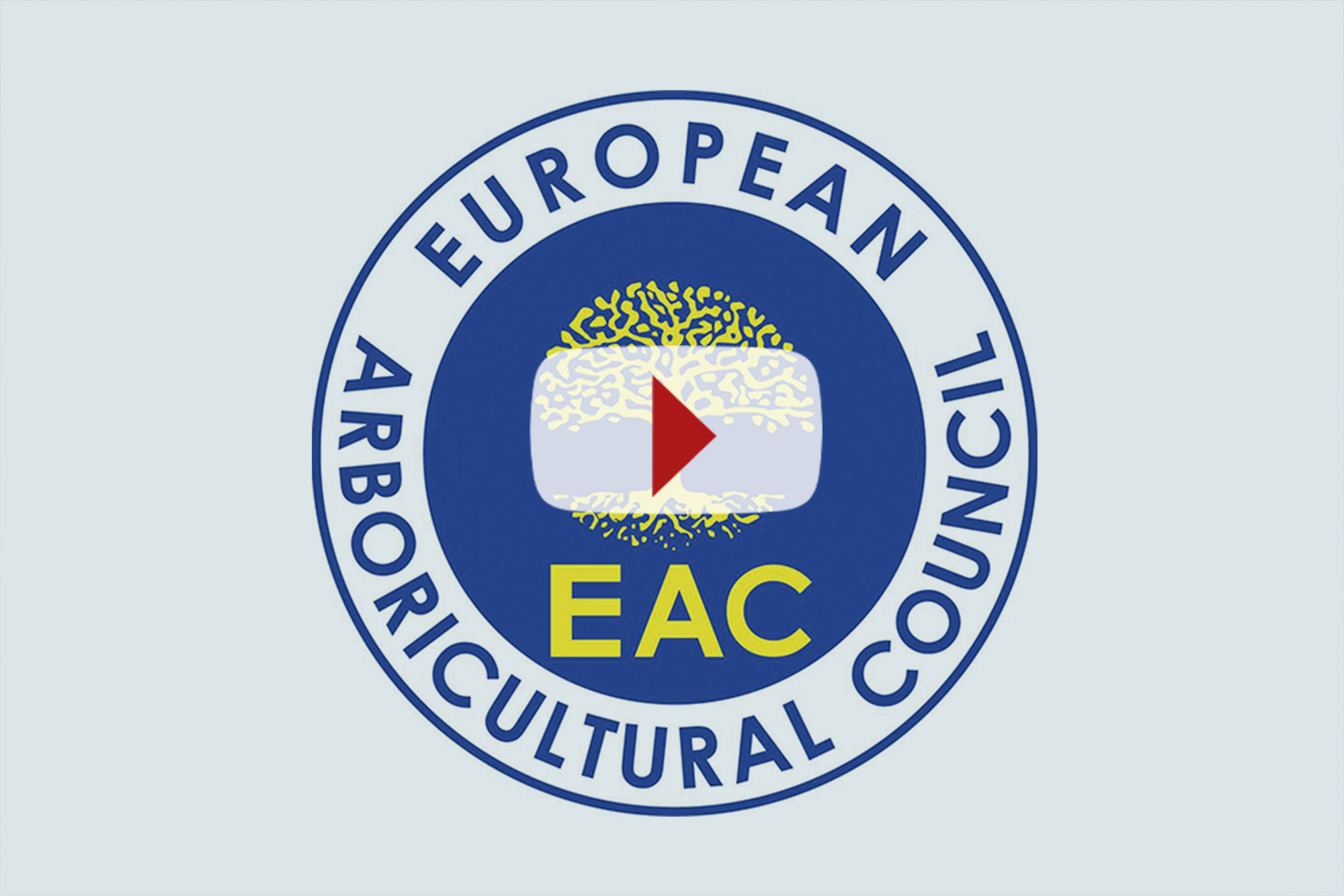 European City of Trees Award 2025 gaat naar Hamburg