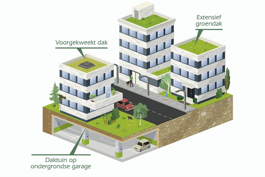 Het drainagemembraan, de sleutel tot het succes van groendaken