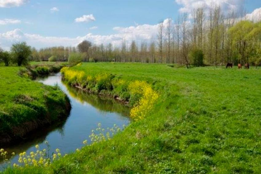 Het landschap verdient een eigen stem
