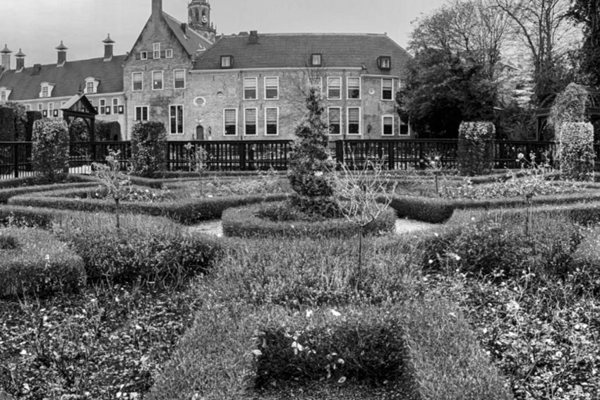 Meer bossen en parken in en om de stad
