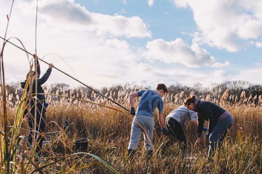 Provincie Antwerpen lanceert Europees project Green Team