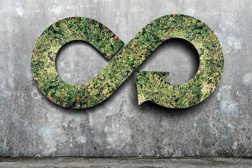 Meer dan 95 procent Belgische habitats in slechte staat