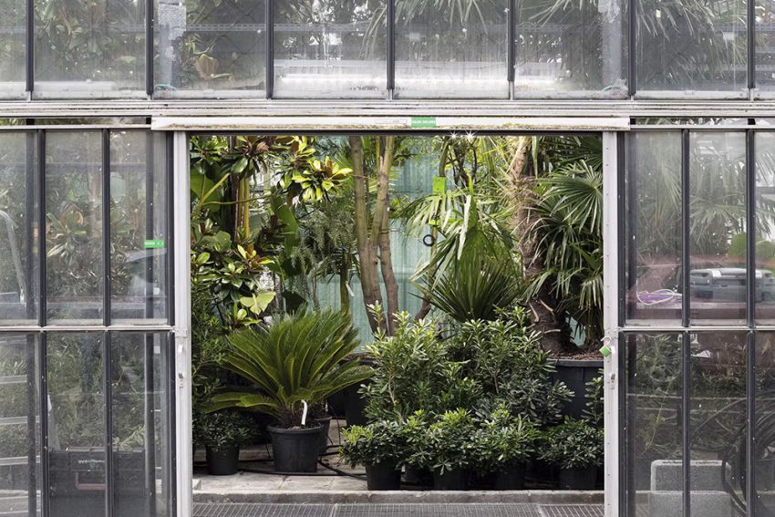 Primeur: eerste boom prototype Building Biospheres uitgerust met sensoren
