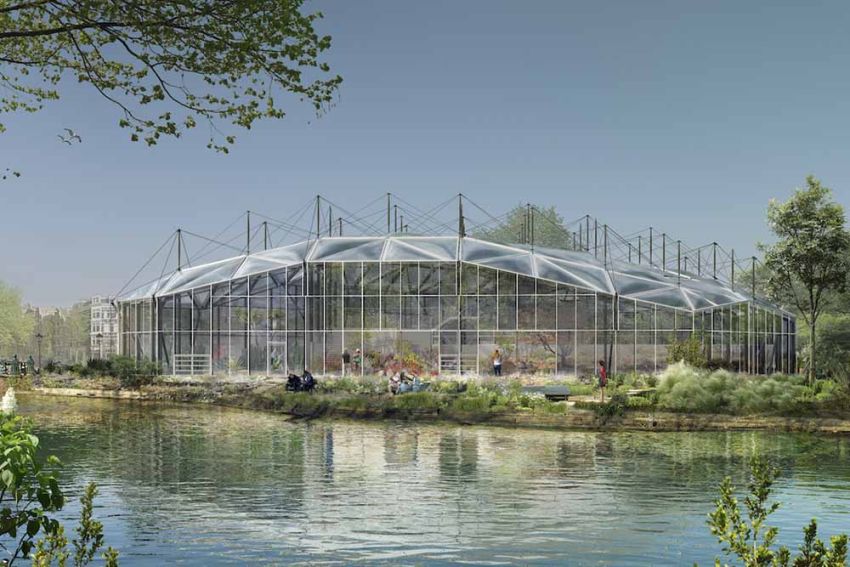 Vernieuwing drieklimatenkas Hortus Botanicus Amsterdam kan van start
