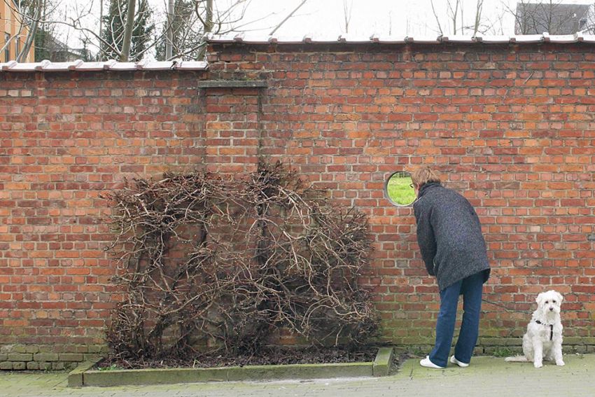 De parallelle praktijk als voedingsbodem voor de architectuurpraktijk in Vlaanderen