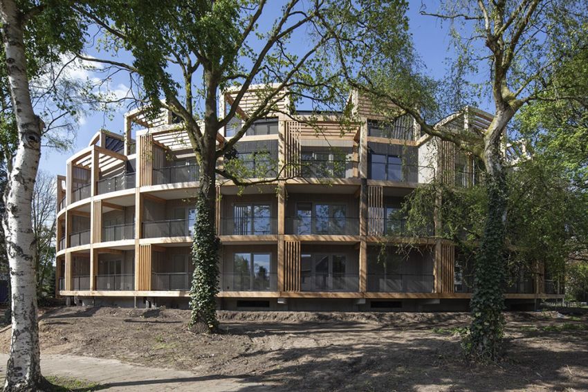 Wonen tussen de bomen