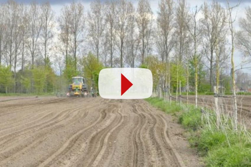 E-academy Agroforestry: gratis online lessen