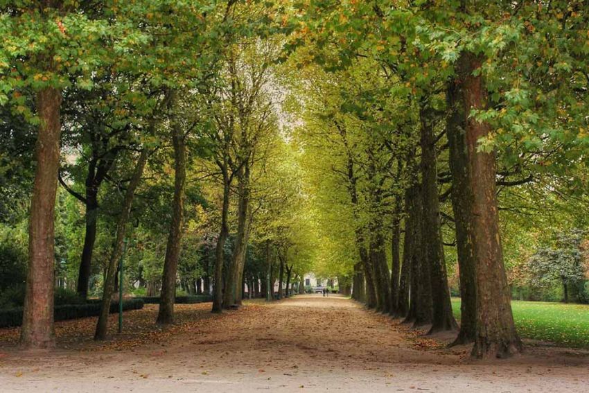 Is Brussel een groene stad?